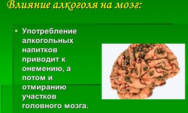Влияние алкоголя на мозг